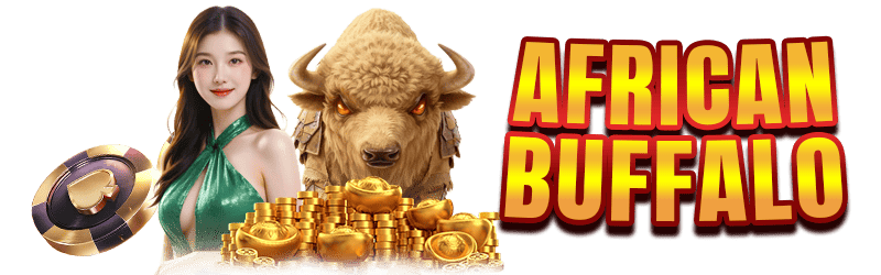 african buffalo