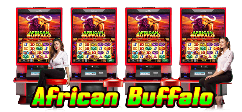 buffalo slot
